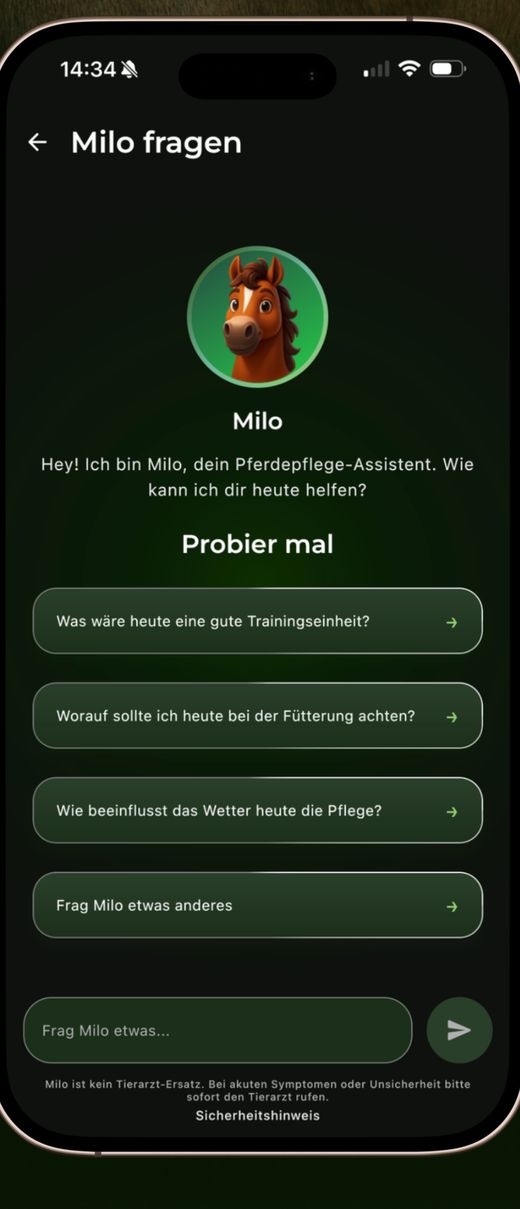 Die ManeMap-App: Chat mit KI-Begleiter Milo zu Training, Fütterung und Pflege